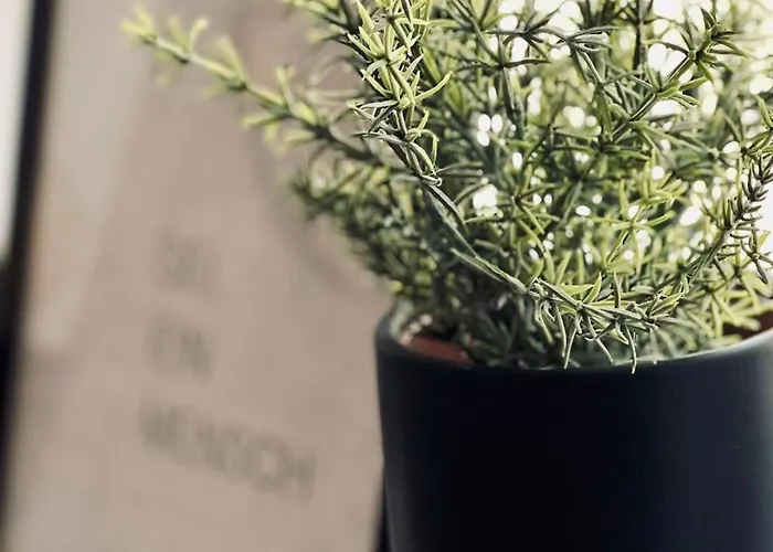 Welcome In - Ferienwohnung Mit Terrasse